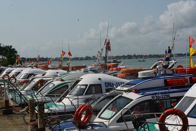 Cham Island Day Tour: Speed Boat, Lunch, Snorkeling & Beach - Cham Islands in plain terms: what this UNESCO day trip gets you