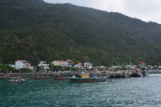 Cham Island Day Tour: Speed Boat, Lunch, Snorkeling & Beach - Snorkeling included: how to maximize your sea-creature time