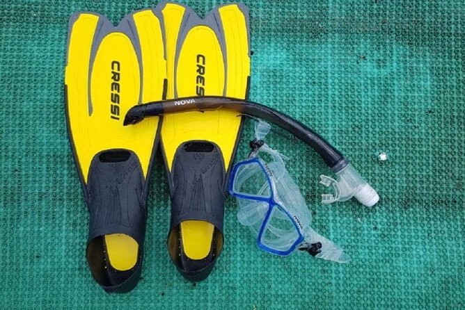 Cham Island Exploration Tour and Swimming with Local Guide - Hoi An to Cham Islands: the water ride that sets the tone