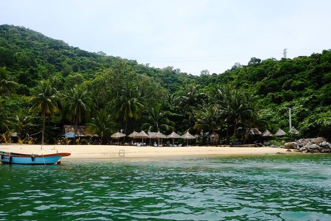 Cham Island Exploration Tour and Swimming with Local Guide - Who this Cham Island tour fits best