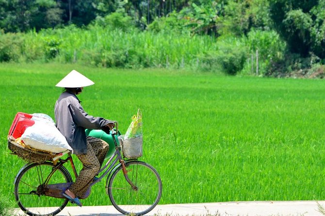 Countryside Bicycle Tour from Hoi An - All Inclusive - The Countryside Ride: Rice Fields, Coconut Trees, and the Thu Bon River