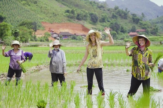 Countryside Bicycle Tour from Hoi An - All Inclusive - Who Should Book This (and Who Might Skip It)