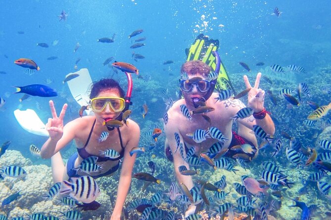 Da Nang/Hoi An: Cham Island Snorkeling, Sunbathing, Nice Beaches - Hoi An to Cham Island, without the stress