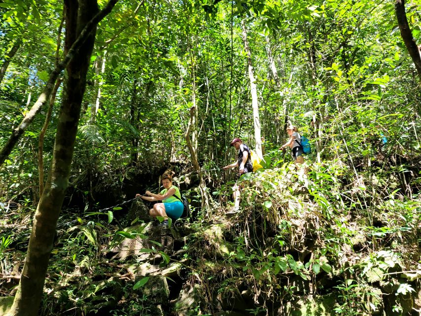 Da Nang/Hoi An to Hue via Bach Ma National Park Trekking - Ngu Ho (Five Lakes): forest trail and the swimming option