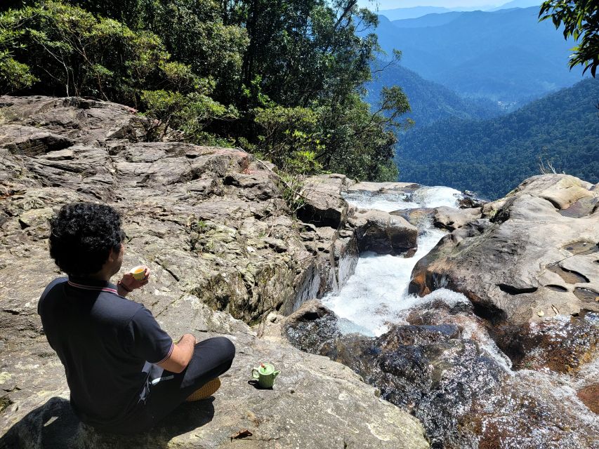 Da Nang/Hoi An to Hue via Bach Ma National Park Trekking - Price and value: why $86 can work well for a full-day “transfer plus nature”