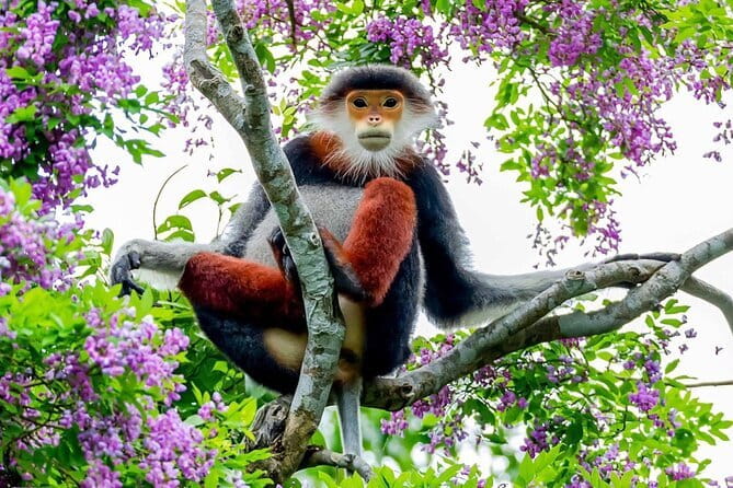 Explore Son Tra Peninsula, Monkey Mountain, Lady Buddha half-day - Sơn Trà Radar Station: wartime tech with real atmosphere