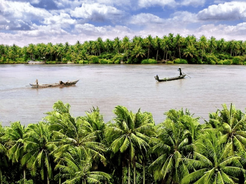 From Ho Chi Minh: My Tho Ben Tre Mekong with Lunch - From My Tho to the Mekong River Cruise and the Island Pass-By