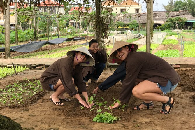 Gardening at Tra Que Vegetable Village and cooking class - How this Tra Que day works: pickup, cycling lanes, and quick context