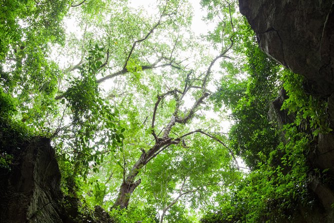 Half day Marble Mountain and Linh Ung Pagoda Tour - Should you book this Marble Mountains and Linh Ung Pagoda tour?