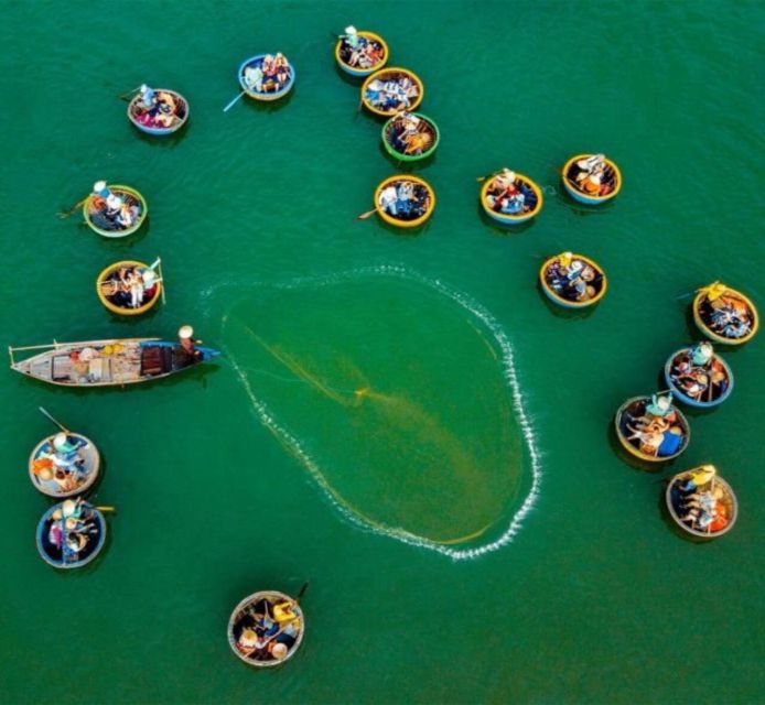 Hoi An Bamboo Basket Boat Ride in Water Coconut Forest - Wildlife, Quiet, and the Reality of a Sandy Riverbank