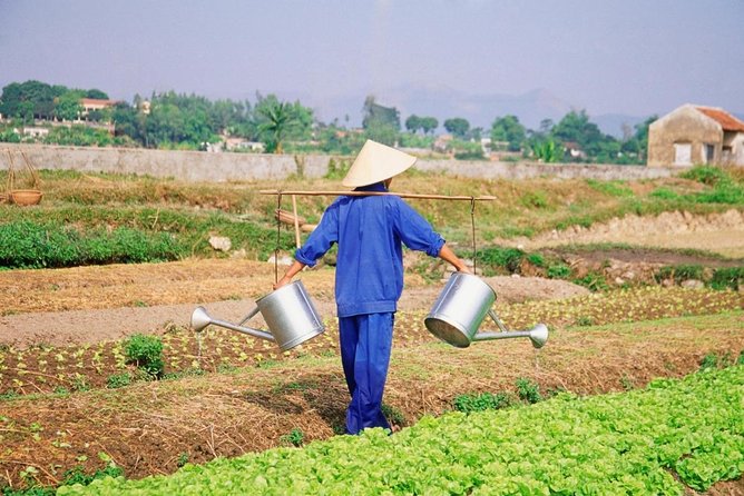 Hoi An Countryside Tour By Scooter With Lady Bikers - Key things that make this tour click