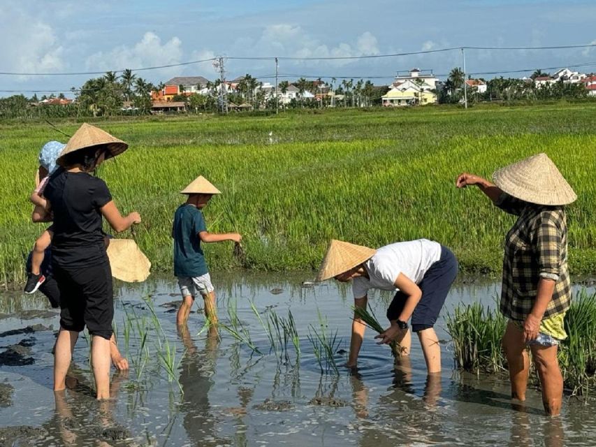 Hoi An:Cycling,Traditional Farming & Fishing Life Experience - Key things I’d bank on before you book