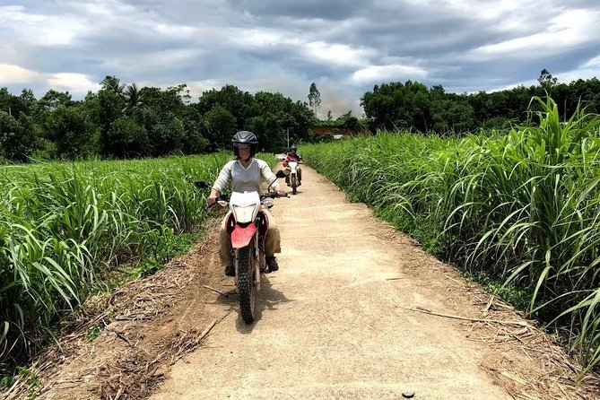 My Son Adventures Loop (1 ngày -150km) - My Son Holy Land: UNESCO Temples and the Guide’s Role