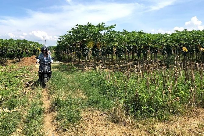 My Son Adventures Loop (1 ngày -150km) - Lunch Tickets and How to Pace a Full Day