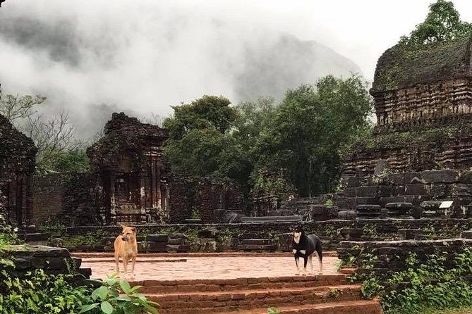 My Son Sanctuary Sunrise Private Tour - Who This Sunrise My Son Tour Fits Best (And Who Might Skip It)