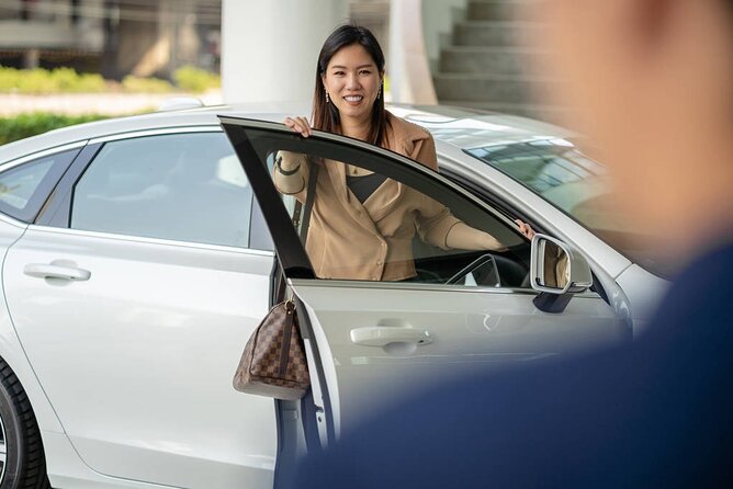 Private Departure Transfer: From Hotel in Hoian to Danang International Airport - The ride itself: what 30 minutes feels like